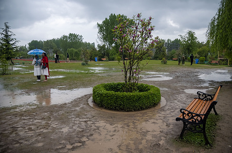 Tourists shelter under an umbrella inside the tulip garden during the heavy rainfall in Srinagar. The weather department has forecasted widespread light to moderate rain and thundershowers over the next 24 hours. They also mentioned that on April 20, there is a chance of light rain in scattered areas. From April 21-25, generally dry weather is anticipated, although isolated afternoon thundershower activity cannot be ruled out during this period. Higher altitude areas have received fresh snowfall.