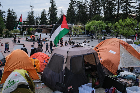 The tents with flags of Palestine are seen outside the Sproul Hall at UC Berkeley. The "Gaza Solidarity Encampment" is held by students and professors at the University of California, Berkeley, not only demonstrate their support for the people in Gaza and call for a cease-fire but also extend solidarity to students at Columbia University who were arrested for their own encampment on campus. This act of support sparks a ripple effect across college campuses nationwide, inspiring students from various institutions to organize their own "Gaza Solidarity Encampments."
