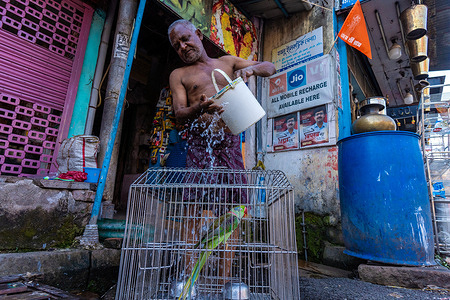 A man cools his pet bird with water during the severe heat wave. Severe heat wave warning issued by The India Meteorological Department (IMD) in some districts of the Southern part of West Bengal, India. On 25th of April, 2024, the highest temperature recorded was 42 degree Celsius which was approximately 6 degrees higher than the normal. IMD experts also said this to be continued till 28th April, 2024 due to dry wind which continues to blow at lower level from west and north west India over the region. The extreme heat is becoming unbearable for the people.