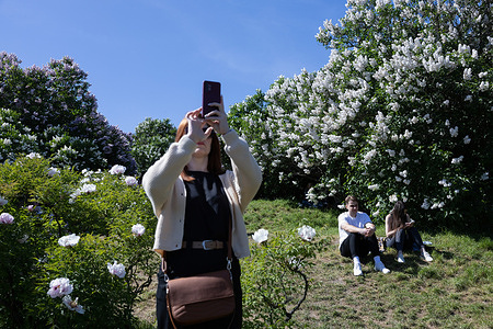 A girl takes pictures of blooming lilacs in a park in central Kyiv.
