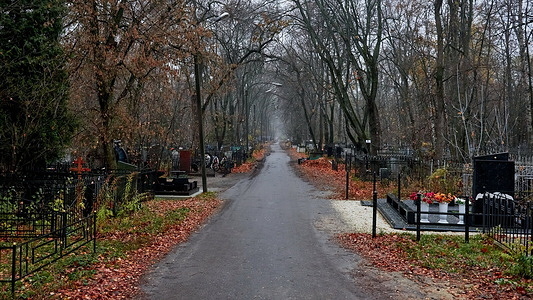 A road of Kominternovsky cemetery in fog is seen in Voronezh city
The festive morning of November 4, Unity Day (also called Day of People’s Unity or National Unity Day national holiday in Russia was marked by a strong fog in Voronezh.
