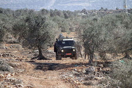 Israeli military jeep seen between olive trees during the demonstration against Israeli settlements in the village of Beita near the West Bank city of Nablus.