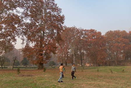 Kashmiri kids play in a garden on an autumn day.