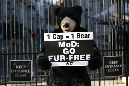 An activist dressed as a bear holds a placard expressing his opinion during the People for the Ethical Treatment of Animals (PETA) ‘Bear’ to Boris Johnson: ‘Save My Skin! demonstration in London.