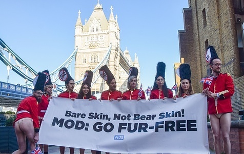 Partially nude activists wearing guard costumes and caps with anti-fur signs hold a banner asking the Ministry of Defence (MOD) to go fur-free, during the demonstration.
PETA activists partially stripped off their clothing next to Tower Bridge, calling on the UK government and the Ministry of Defence to use faux fur in guards' caps instead of real bearskin. The demonstration also marked the 21st anniversary of the fur-farming ban in England and Wales.