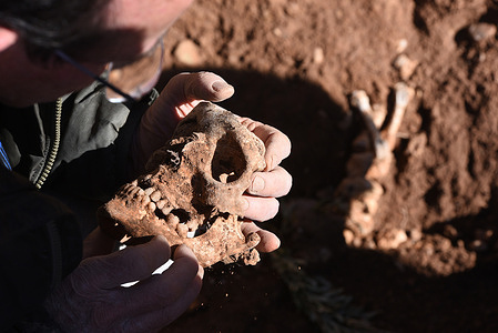 (EDITORS NOTE: image depicts death) A cranium is seen in the hands of an archaeologist after being exhumed from a mass grave in Belchite.
Spanish Civil War victims exhumation continues in two mass graves at a cemetery in Belchite, Zaragoza's province. The site was one of the bloodiest battlefields with a total of 400 people killed from Belchite town and the surrounding area.