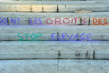 Slogans seen inscribed on the entrance steps to the Courthouse (Palais de Justice).
On the occasion of the anniversary of the ratification of the Declaration of Human Rights on December 10 each year, animal rights activists from around the world participated in the International Day for Animal Rights to denounce the hypocrisy of not recognizing the basic rights of animals other than humans. In Marseille, they gathered in front of the Courthouse (Palais de Justice) and left slogans inscribed on the entrance steps.