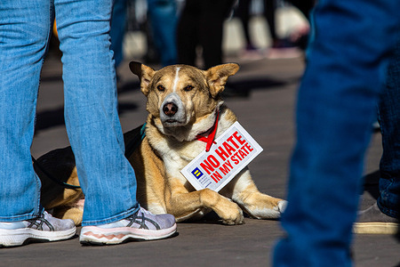 A dog with a "no hate in my state" sign is seen during a demonstration.
People gathered to commemorate the first anniversary of the January 6th insurrection at the Capitol. Protesters wanted to convey the people's right to suffrage and not allow history to be altered for political gains.