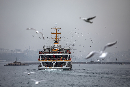 With the historical peninsula in the background, the city lines ferry created a beautiful view with the flying seagulls.