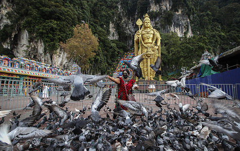 A Hindu devotee feeds pigeons after fulfilling her vows during the Thaipusam festival at the Batu Caves Temple.
Thaipusam is an annual Hindu festival celebrated mostly by the Tamil community in honor of the Hindu god Lord Murugan.
Devotees will blessings and make vows when their prayers are answered.