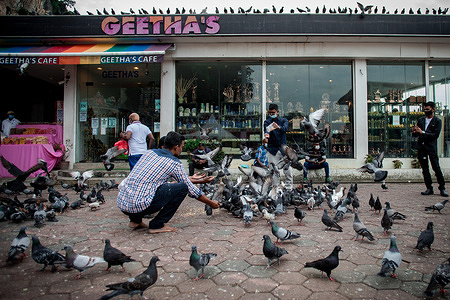 Several visitors wearing face masks are seen feeding pigeons at Sri Maha Mariamman Dhevasthanam Temple during the Thaipusam celebration.